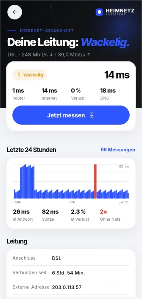 Internet-Gesundheit: Latenz, Verlust und DNS über 24 Stunden, Leitungsdaten, Ausfallprotokoll